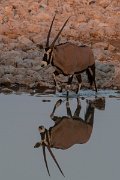DPPhotography - Namibia - Gemsbok - G