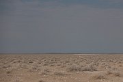 DPPhotography - Namibia - Springbok - E