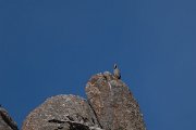 DPPhotography - Uzbekistan - Chukar - A