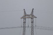 DPPhotography - Uzbekistan - Egyptian vulture - A