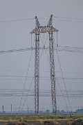 DPPhotography - Uzbekistan - Egyptian vulture - B