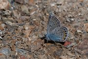 DPPhotography - Lesvos - Amanda's blue - C
