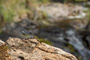 DPPhotography - Lesvos - Odalisque - B