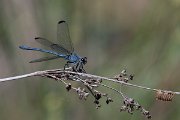 DPPhotography - Lesvos - Odalisque - D