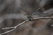 DPPhotography - Lesvos - Odalisque - J