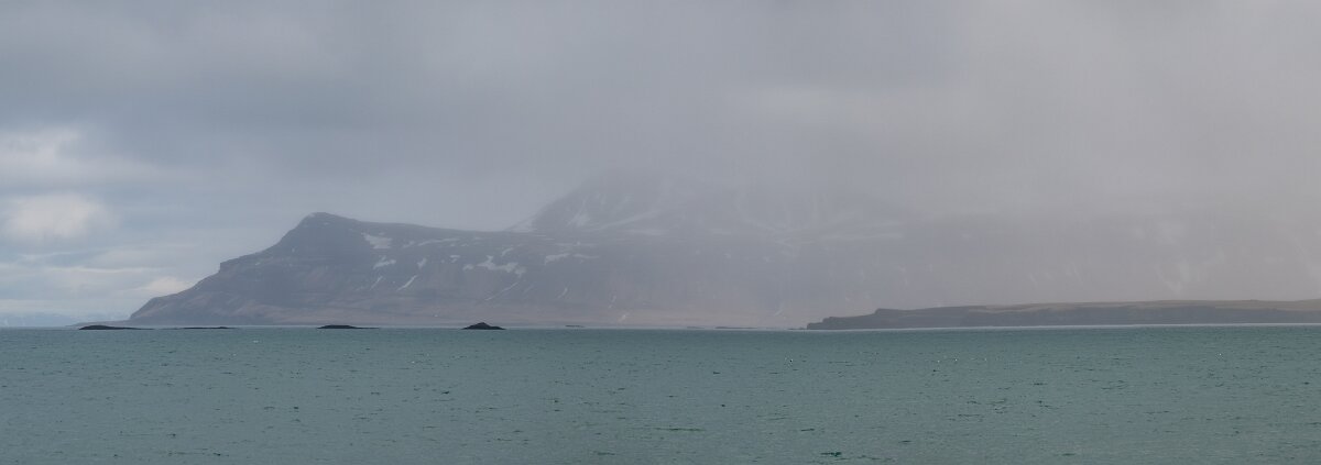 DPPhotography - Iceland - Fulmar - AY.jpg - Fulmar panorama - Ólafsvík