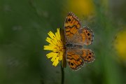 DPPhotography - Extremadura - Wall - A