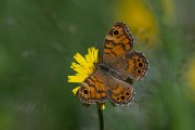 DPPhotography - Extremadura - Wall - B