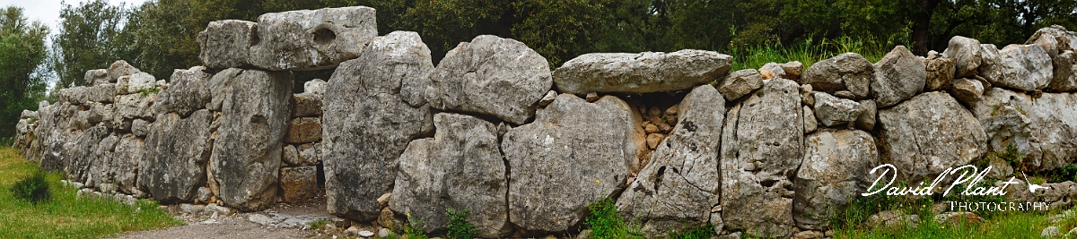 000__DSC1591 - 007__DSC1598-2.JPG - Ses Païsses - Mallorca
