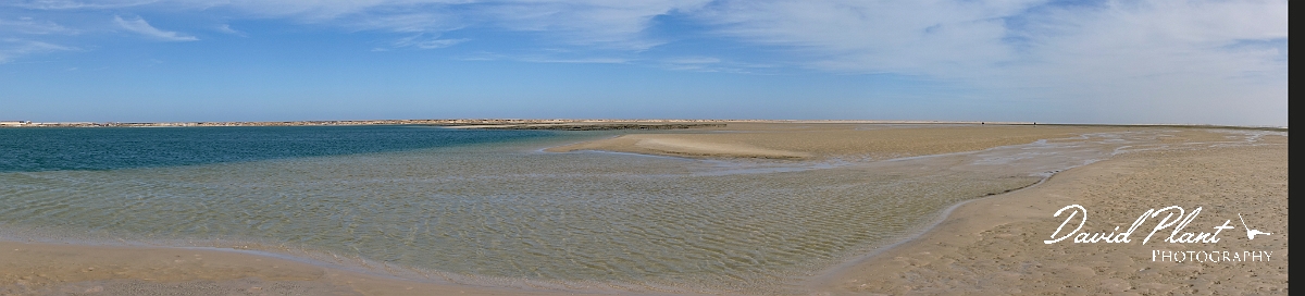 DSC00196-2.JPG - Dakhla Bay - Western Sahara
