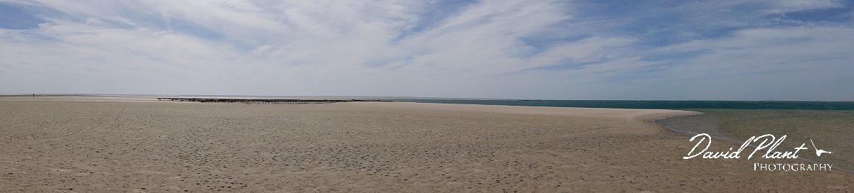 DSC00203-2.JPG - Dakhla Bay - Western Sahara