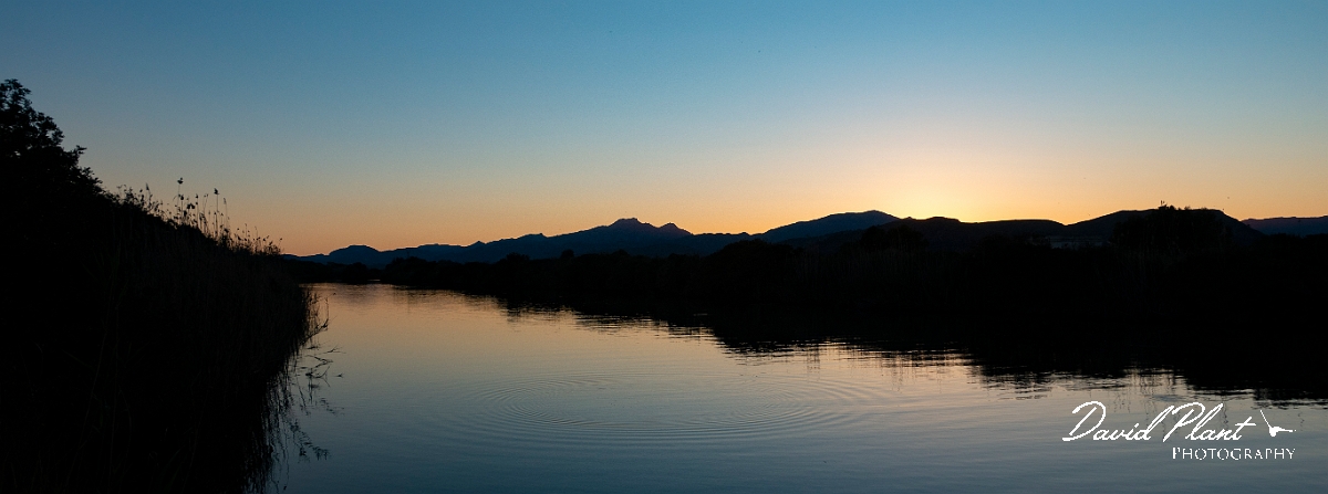 DSC00580-2.JPG - Parc Natural de s'Albufera - Mallorca