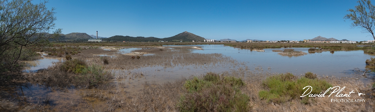 DSC00586 - DSC00588.JPG - Parc Natural de s'Albufera - Mallorca