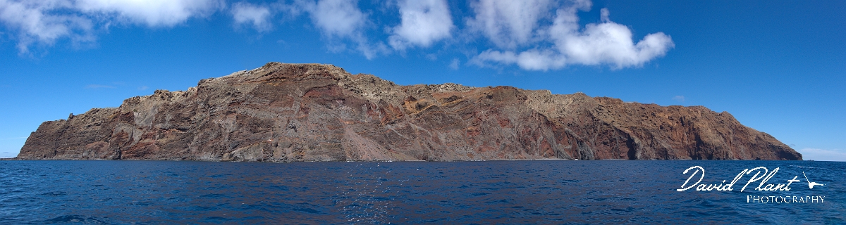 DSC00871 Panorama2.JPG - Desertas Grande, Desertas Islands - Madeira