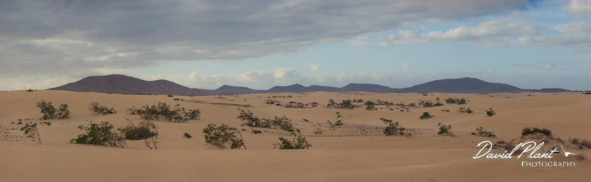 DSC_0544 Panorama2-3.JPG - Parque Natural de Corralejo - Fuerteventura