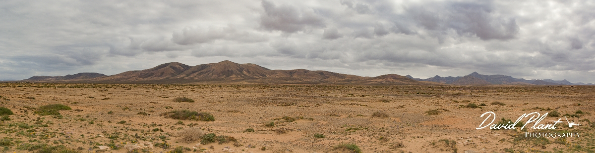 DSC_0889 Panorama2.JPG - El Cotillo - Fuerteventura