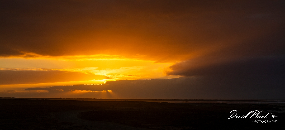 DSC_2393-2.JPG - Parque Natural de Corralejo - Fuerteventura