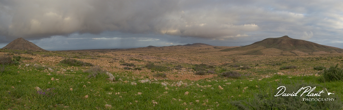 DSC_7415 Panorama2.JPG - La Oliva area - Fuerteventura