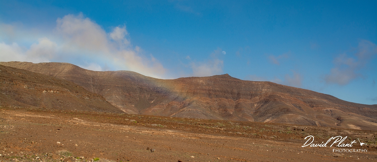 DSC_8764-3.JPG - La Pared area - Fuerteventura