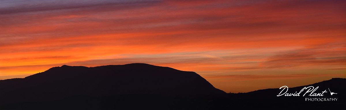 DSC_9923 - 043_DSC_9928-4.JPG - Elafonisi at sunset - Crete