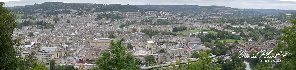 David Plant Photography - Wildlife Photographer - Bath.JPG - Bath