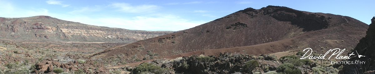 David Plant Photography - Wildlife Photographer - Calderas - Tenerife.jpg - Calderas - Tenerife