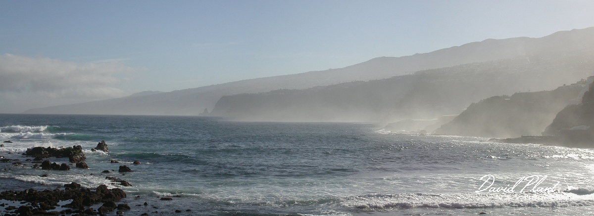 David Plant Photography - Wildlife Photographer - North coast - Tenerife.JPG - North coast - Tenerife