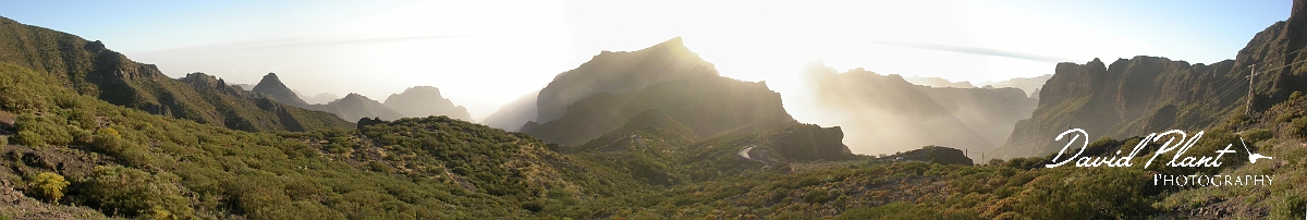 David Plant Photography - Wildlife Photographer - Teno - Tenerife.JPG - Teno - Tenerife