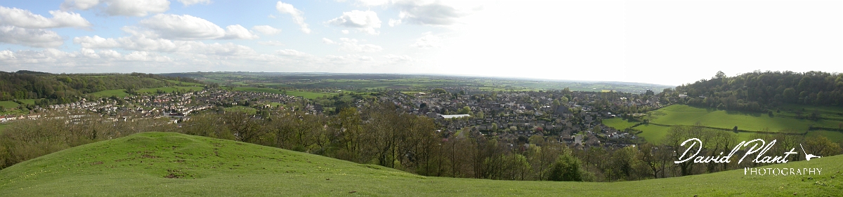 David Plant Photography - Wildlife Photographer - Wotton-under-edge - Gloucestershire.JPG - Wotton-under-edge - Gloucestershire
