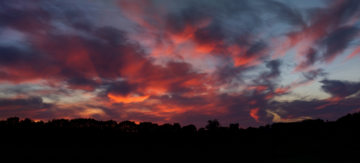 David Plant Photography - Wildlife Photography - Bicester - A.jpg