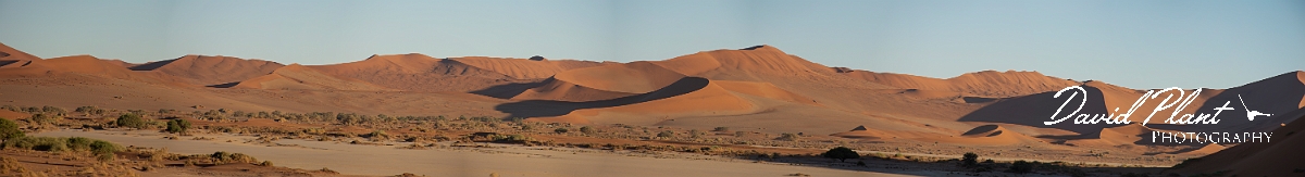 David Plant Photography - Wildlife Photography - Namibia - A.jpg - Namib-Naukluft National Park sand dunes - Namibia