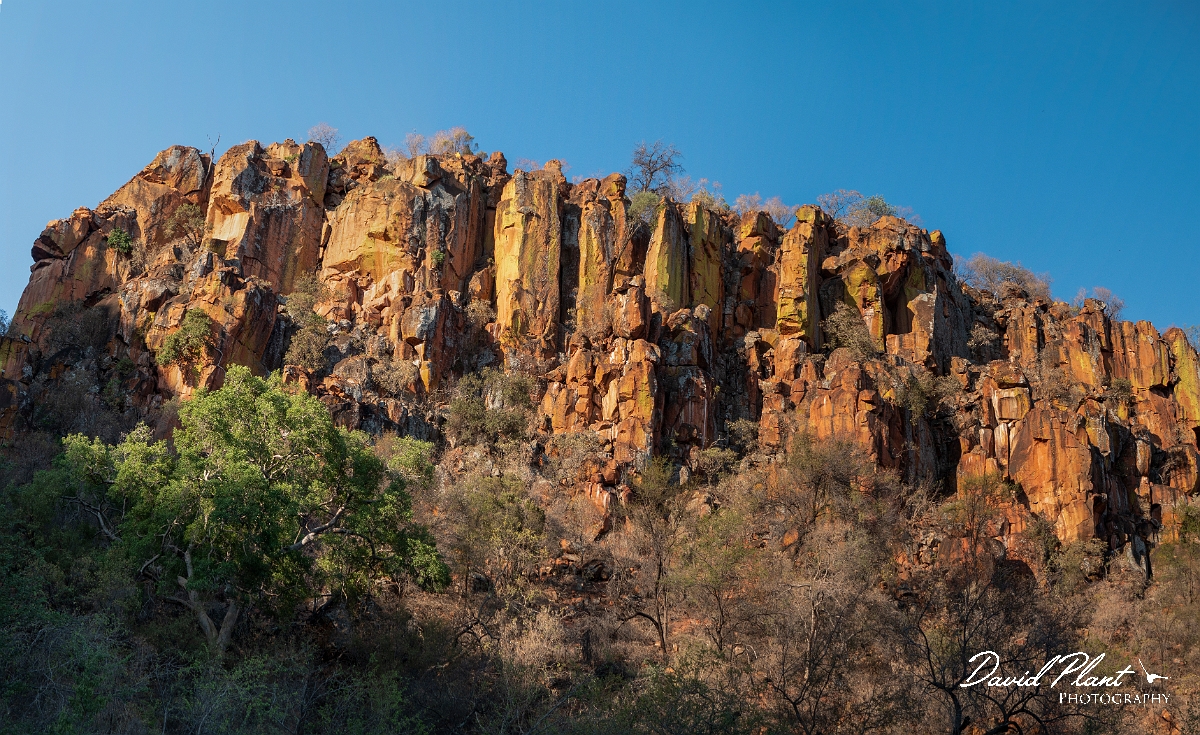 David Plant Photography - Wildlife Photography - Namibia - P.jpg - Waterberg Plateau close - Namibia