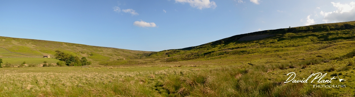 David Plant Photography - Wildlife Photography - North York Moors - A.jpg - Upland grassland - North York Moors