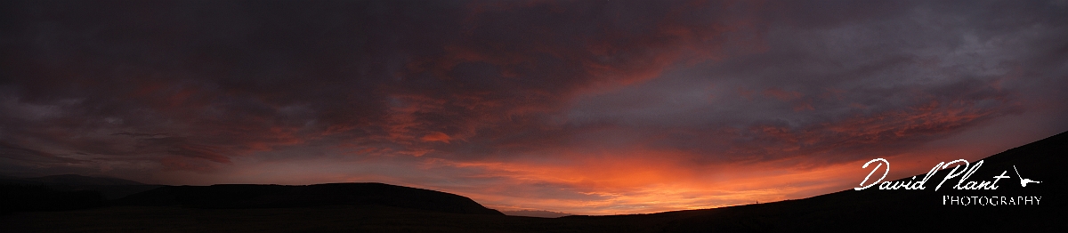 David Plant Photography - Wildlife Photography - Powys - A.jpg - Sunrise - Powys