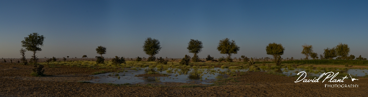 _DSC1377 Panorama-2.JPG - Muntasar Oasis - Oman