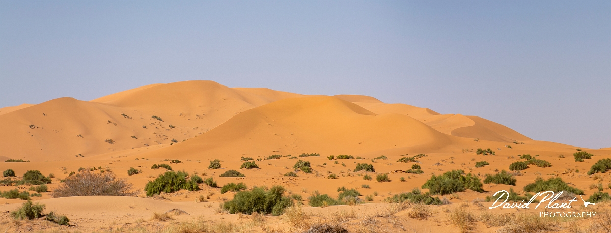 _DSC1643_2 Panorama-4.JPG - Sahara Desert - Morocco