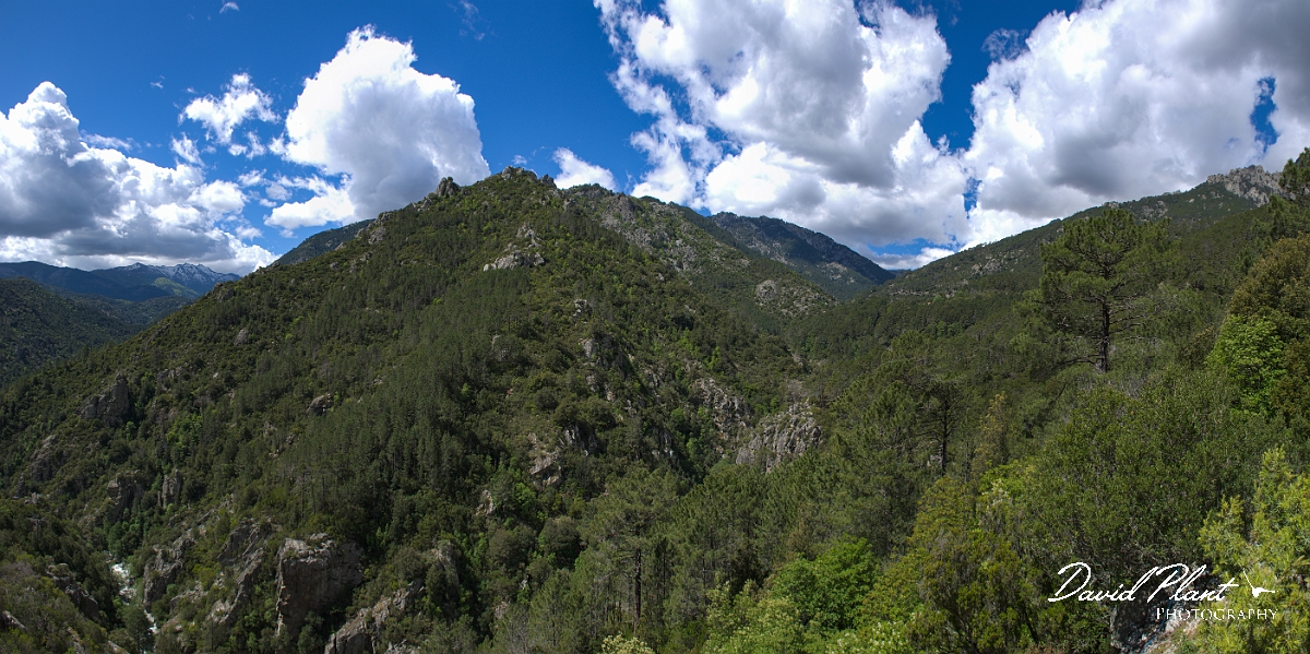 _DSC3354 Panorama.JPG - Verghello Valley - Corsica