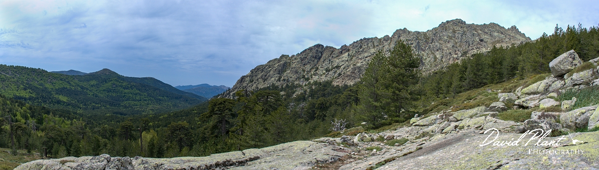 _DSC3647 Panorama-2.JPG - Col de Vergio - Corsica
