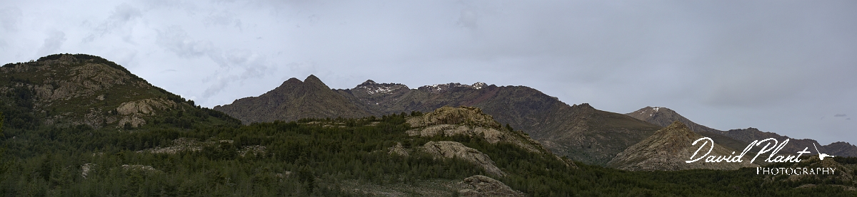 _DSC3701 Panorama.JPG - Col de Vergio - Corsica