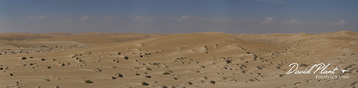 _DSC4986 Panorama-2-2.JPG - Sharqiya Sands - Oman