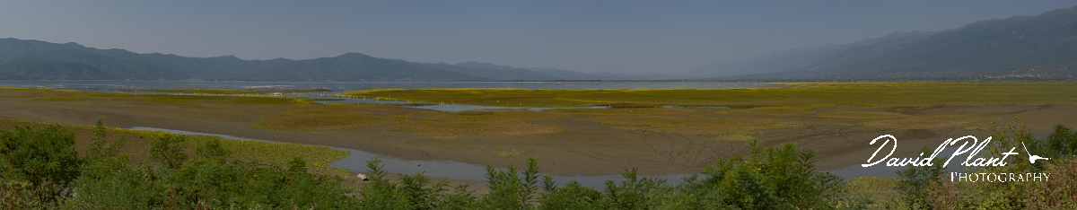 _DSC6128 Panorama-3.JPG - Lake Kerkini - Greece