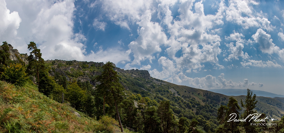 _DSC6212 Panorama.JPG - Mount Vrontou - Greece