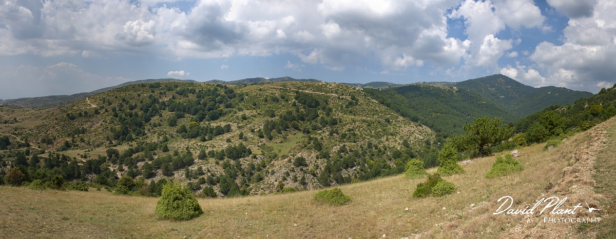 _DSC6225 Panorama.JPG - Mount Vrontou - Greece