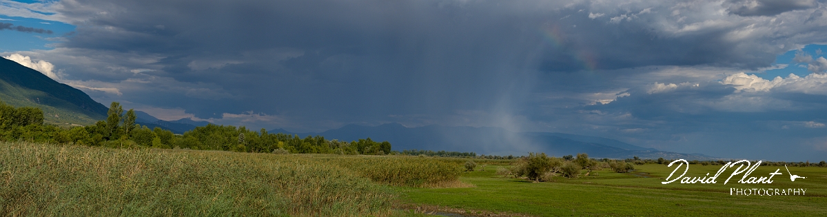 _DSC6355 Panorama-2.JPG - Rain and rainbow, Lake Kerkini - Greece
