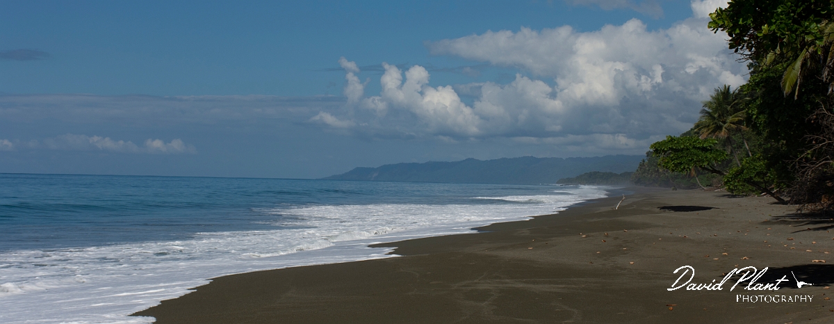 _DSC6723a.jpg - Beach of Osa Peninsula - Costa Rica
