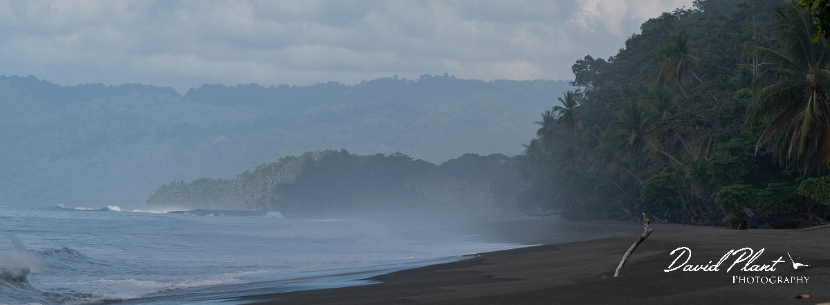 _DSC7610a.jpg - Beach of Osa Peninsula - Costa Rica