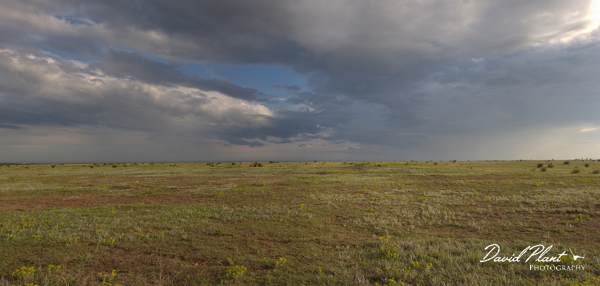 _DSC8499 Panorama.JPG - Balgarevo steppe - Bulgaria