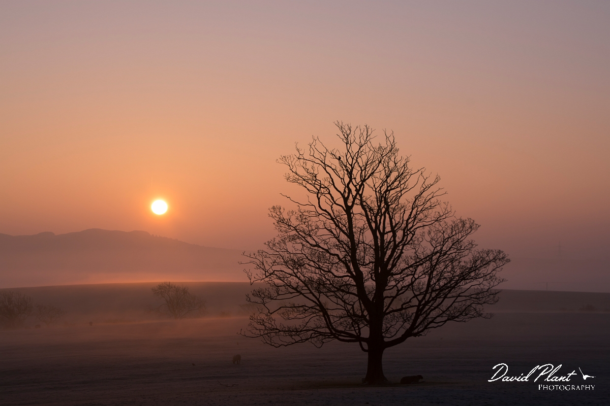 David Plant Photography - Wildlife Photography - Sunrise - G.jpg - Sunrise with mist - Anglesey