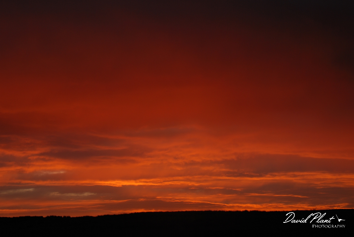 David Plant Photography - Wildlife Photography - Sunrise, Powys - A.jpg - Sunrise - Powys