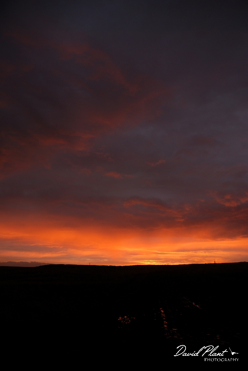 David Plant Photography - Wildlife Photography - Sunrise, Powys - B.jpg - Sunrise - Powys
